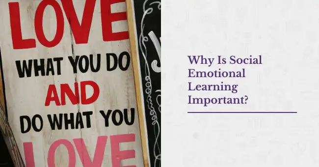 Why Is Social Emotional Learning Important