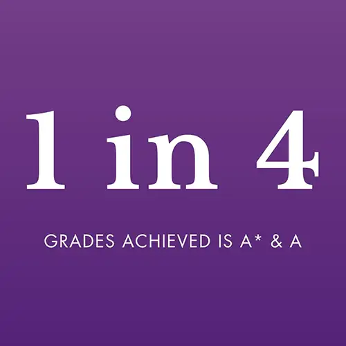 Scored a perfect 100 in at least 1 subject