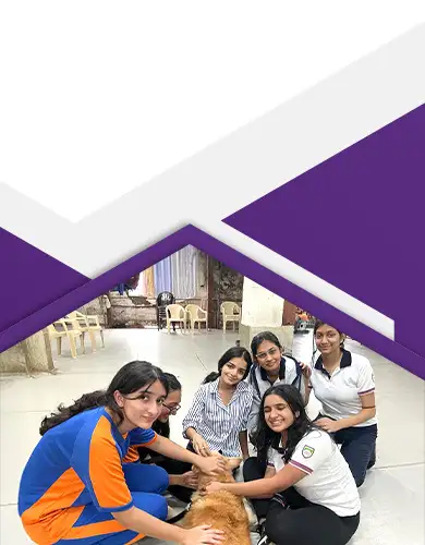 JBCN Creativity, Activity, Service (CAS) banner image